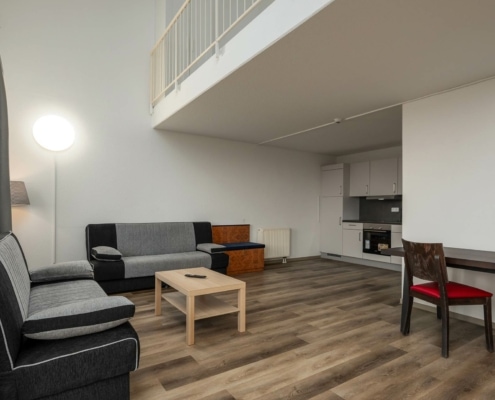 LOFT Apartment